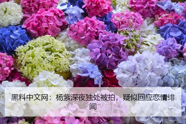 黑料中文网：杨紫深夜独处被拍，疑似回应恋情绯闻